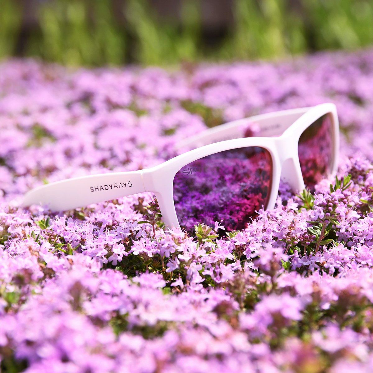 Kid's Signature Series - White Purple Polarized