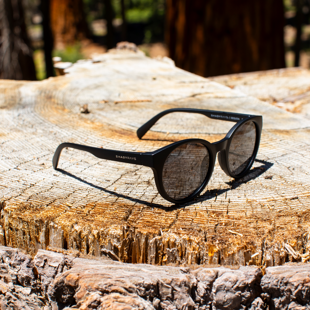 Sequoia - Blackout Polarized