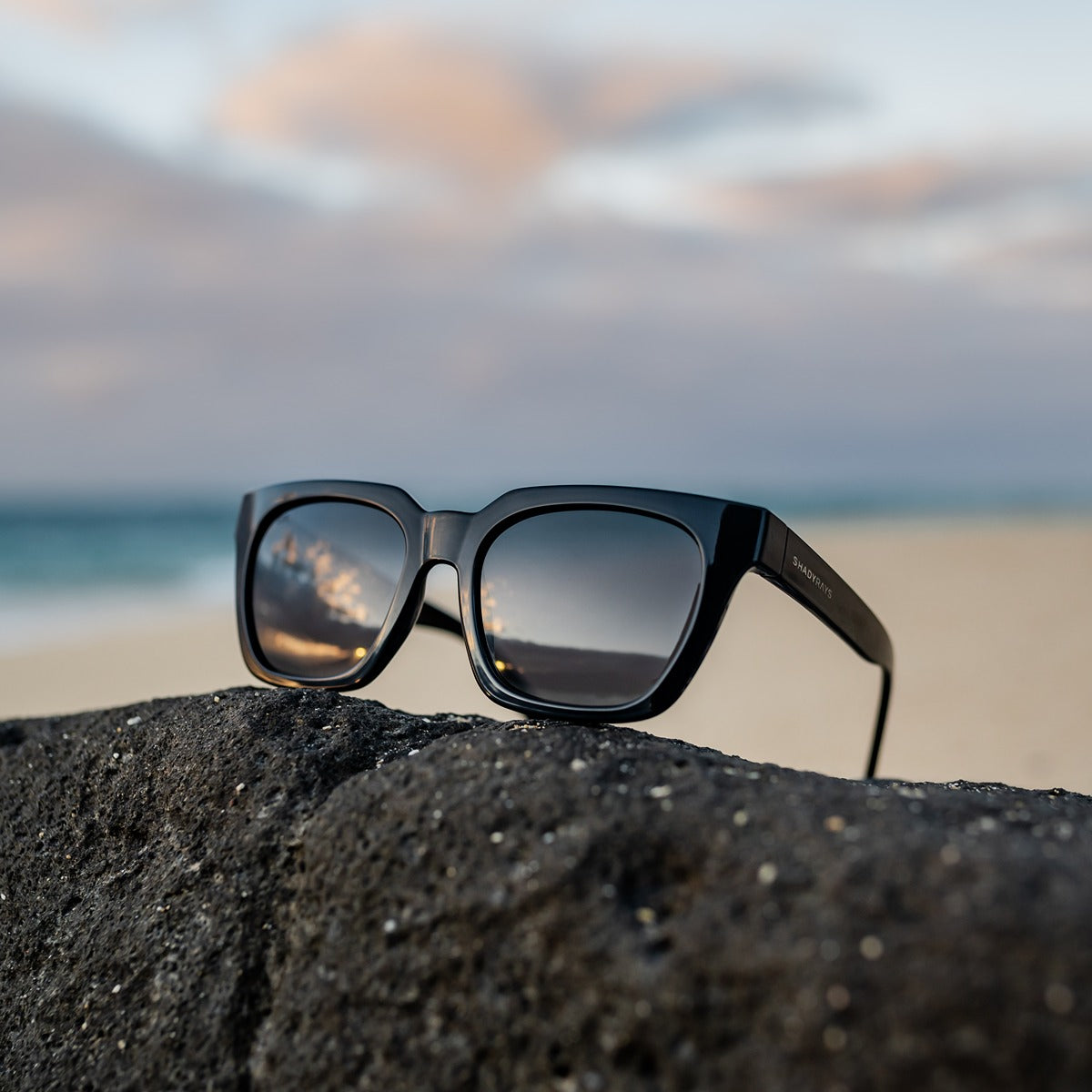 Dahlia - Midnight Polarized