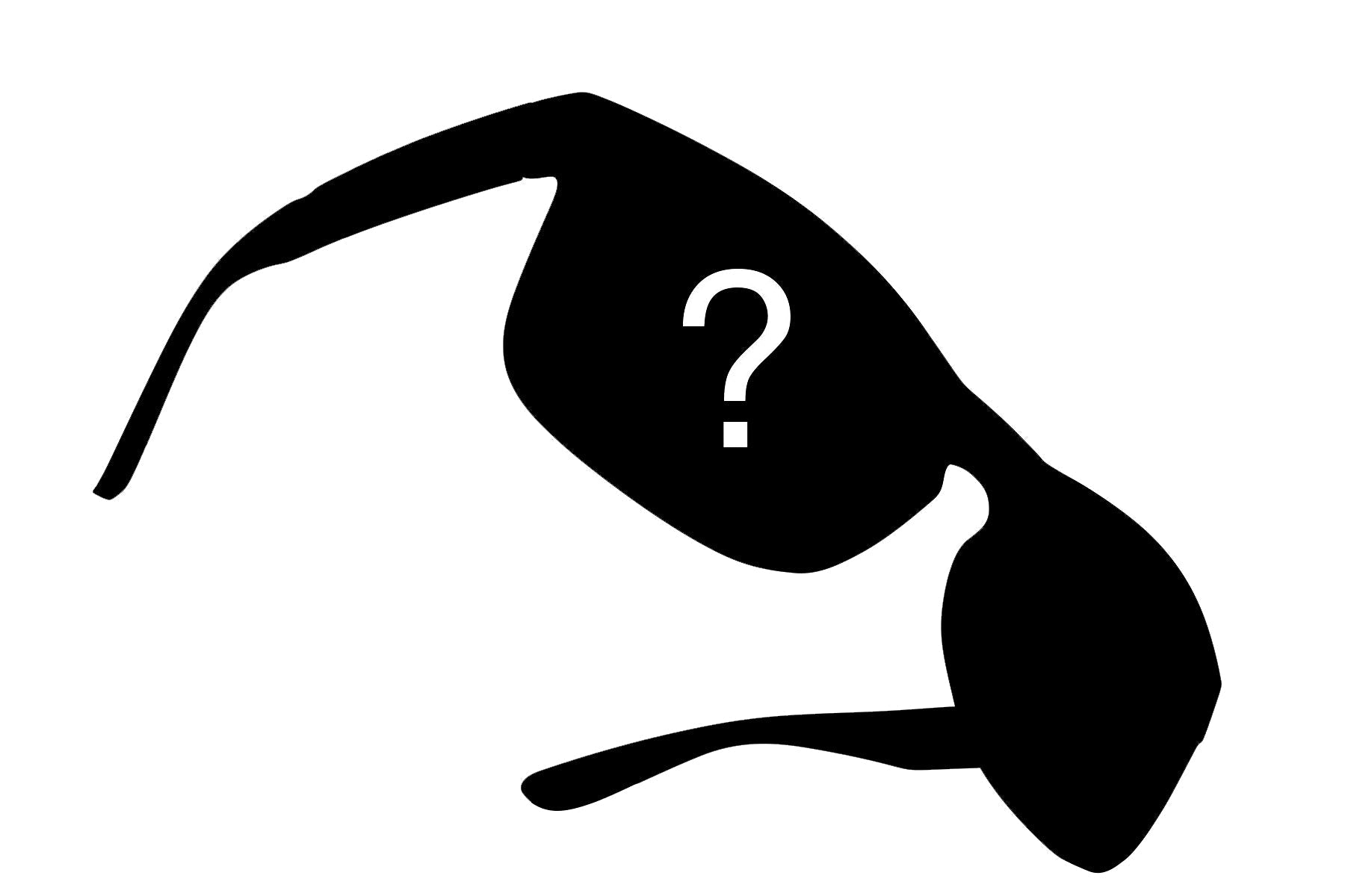 Exclusive Offer - Men's Mystery Polarized Pair (No Returns/Replacements)